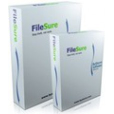 FileSure (Audit) Windows. Версия Workstation 1 пользователь