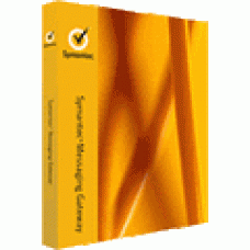 Symantec Messaging Gateway Small Business Edition. Лицензия Express Версия на 100 пользователей с BASIC техподдержкой на 1 год