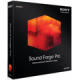 Sony Sound Forge Pro. Лицензия версии 11 Количество лицензий																																	(от 1 до 9999)