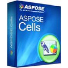 Aspose.Cells Services. Лицензия Developer Small Business