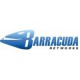 Barracuda Firewall. Версия X101 Web Security (with Wi-Fi) 3 года