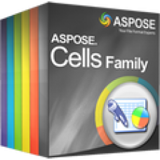 Aspose.Cells for JasperReports. Лицензия Developer OEM