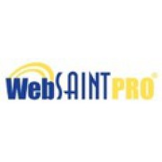 WebSAINT PRO. Лицензии количество Scan Targets																																	(от 1 до 9999)