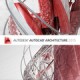AutoCAD Architecture 2014. Обновления Commercial с предыдущей версии (рус)