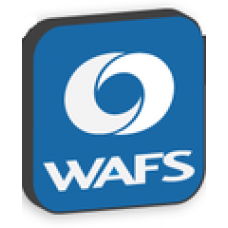 GlobalSCAPE WAFS Server. Продление техподдержки Platinum 2 systems