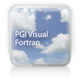PGI Visual Fortran Server. Версии для коммерческих и государственных организаций лицензия 2-User
