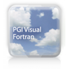 PGI Visual Fortran Workstation. Версии для коммерческих и государственных организаций лицензия 1-Pack