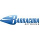 Barracuda Server Backup. Версия 390 Unlimited Cloud Storage на 1 год