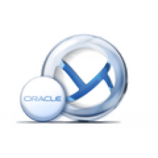 Backup Advanced for Oracle VM 11.5. Лицензия Government Лицензия + AAP																																	(от 1 до 9999)